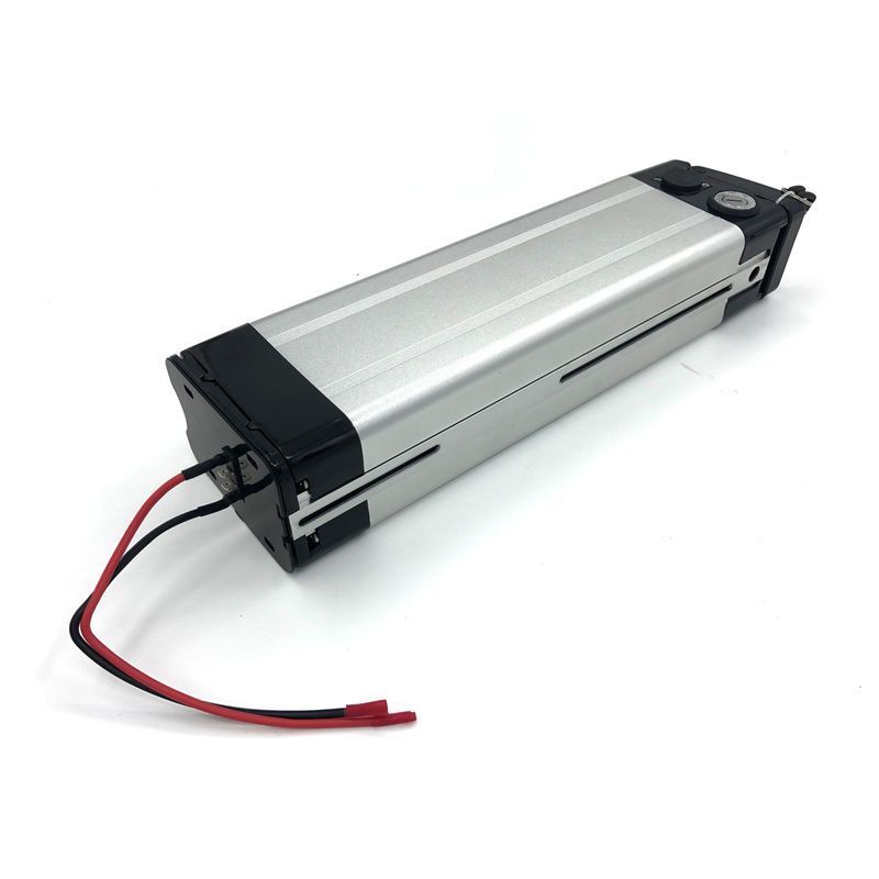 /Sliver Fish Typ 36v 8ah /Lithium Ion Battery Pack /Z dostosowanym